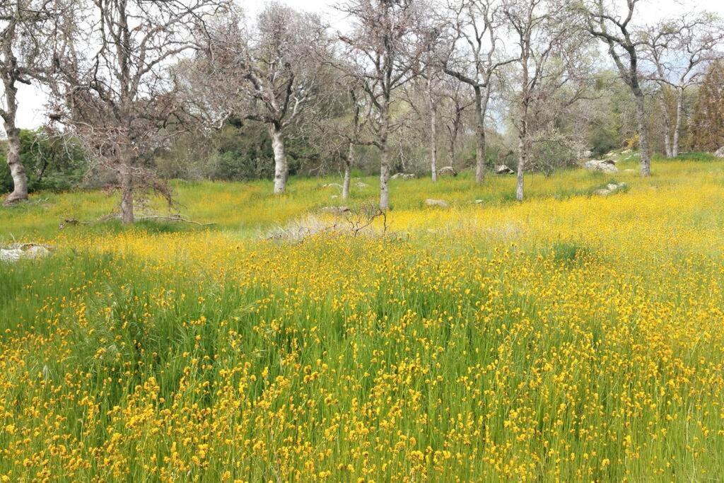 فيلا River Retreat Cabin In Three Rivers - Near Snp المظهر الخارجي الصورة