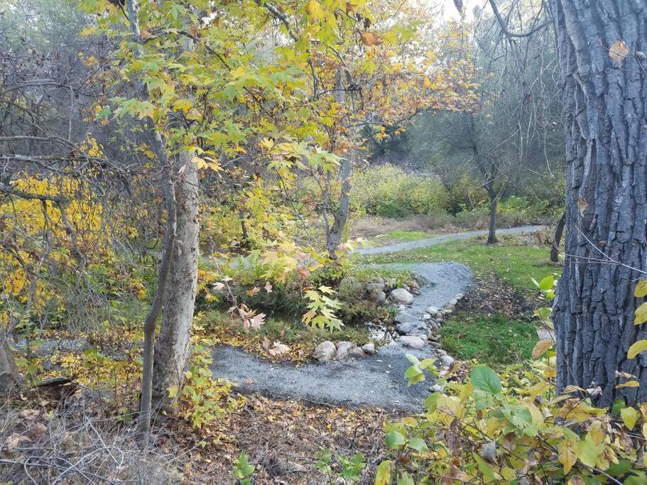 فيلا River Retreat Cabin In Three Rivers - Near Snp المظهر الخارجي الصورة